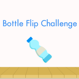 Bottle Flip Online - Free New Games